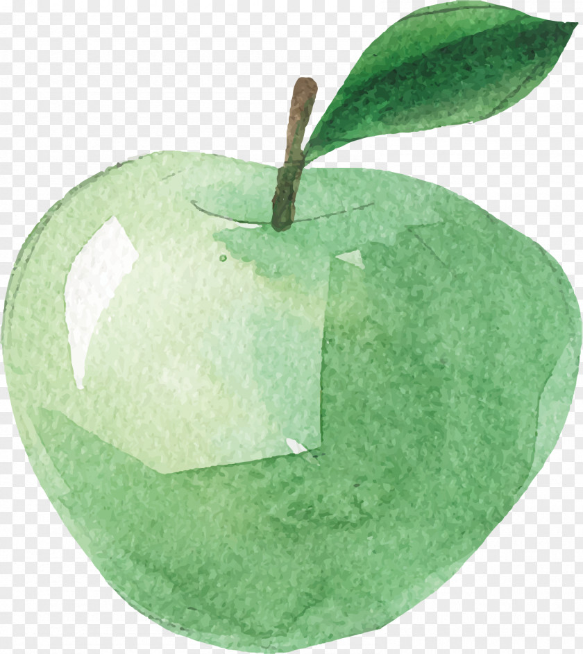 Watercolor Hand Painted Green Apple Painting Fruit PNG