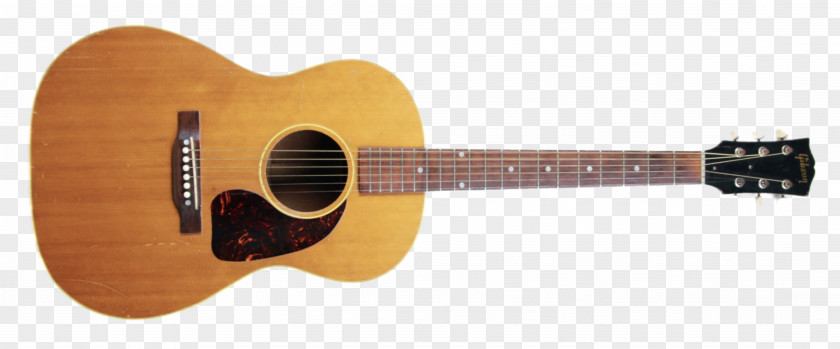 Acoustic Gibson J-200 Firebird L-5 J-45 Epiphone Texan PNG