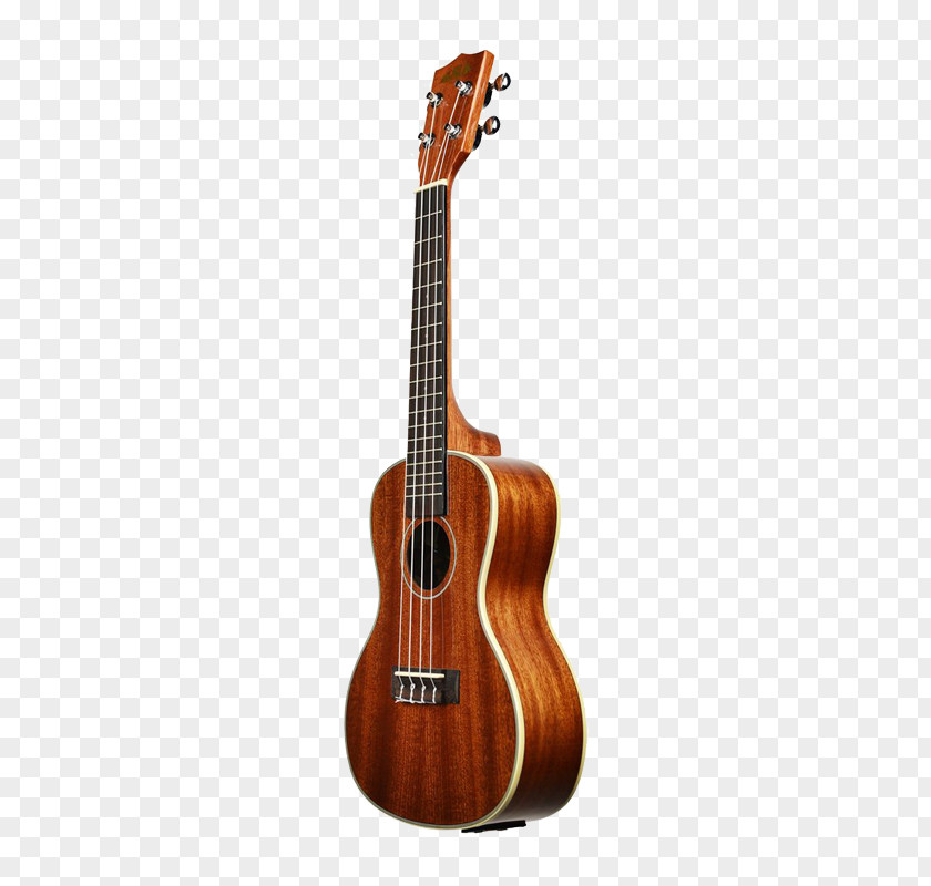 Bass Guitar Ukulele Acoustic Tiple Acoustic-electric PNG