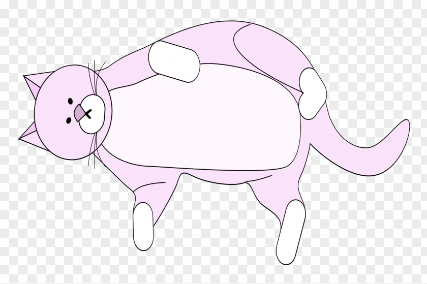 Cat Snout Whiskers Small Cartoon PNG