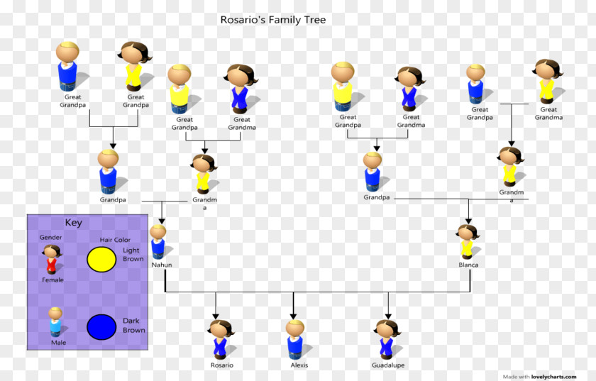 Family Tree Pedigree Chart Genetics Phenotypic Trait Organism PNG