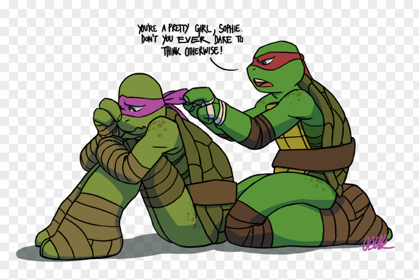 Ninja Slash Venus Teenage Mutant Turtles Raphael Casey Jones DeviantArt PNG
