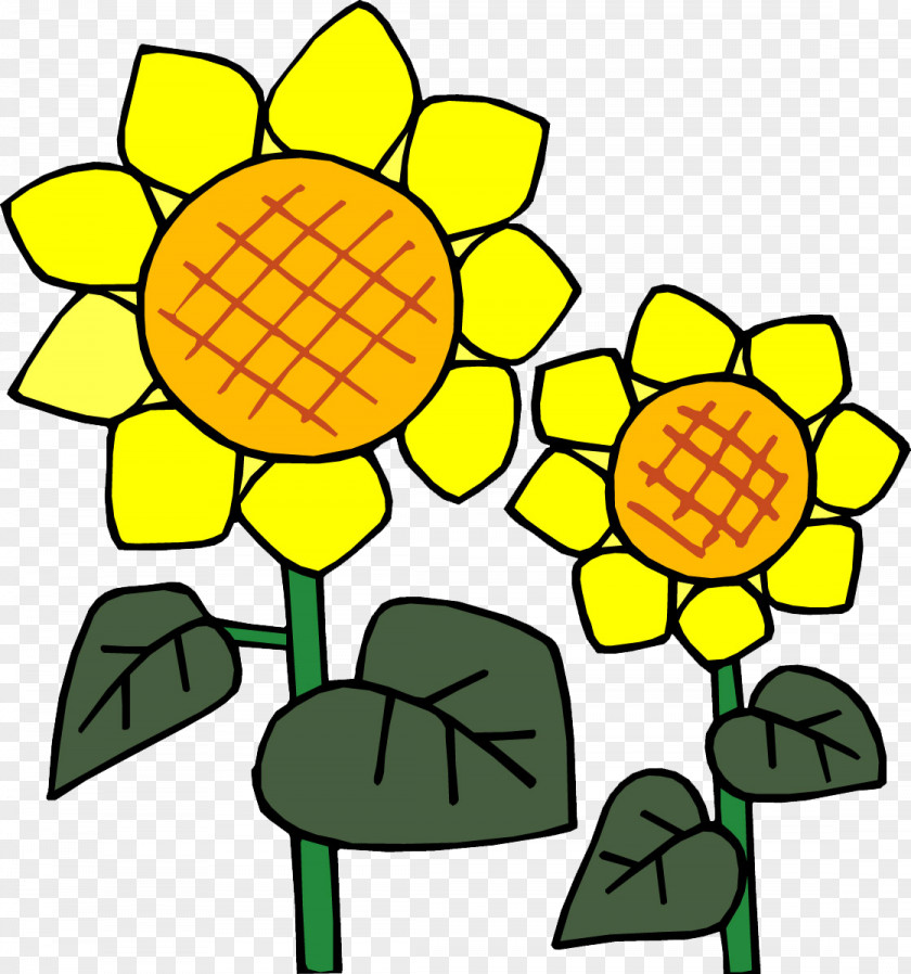 Sunflower Common Jerusalem Artichoke Drawing Child PNG