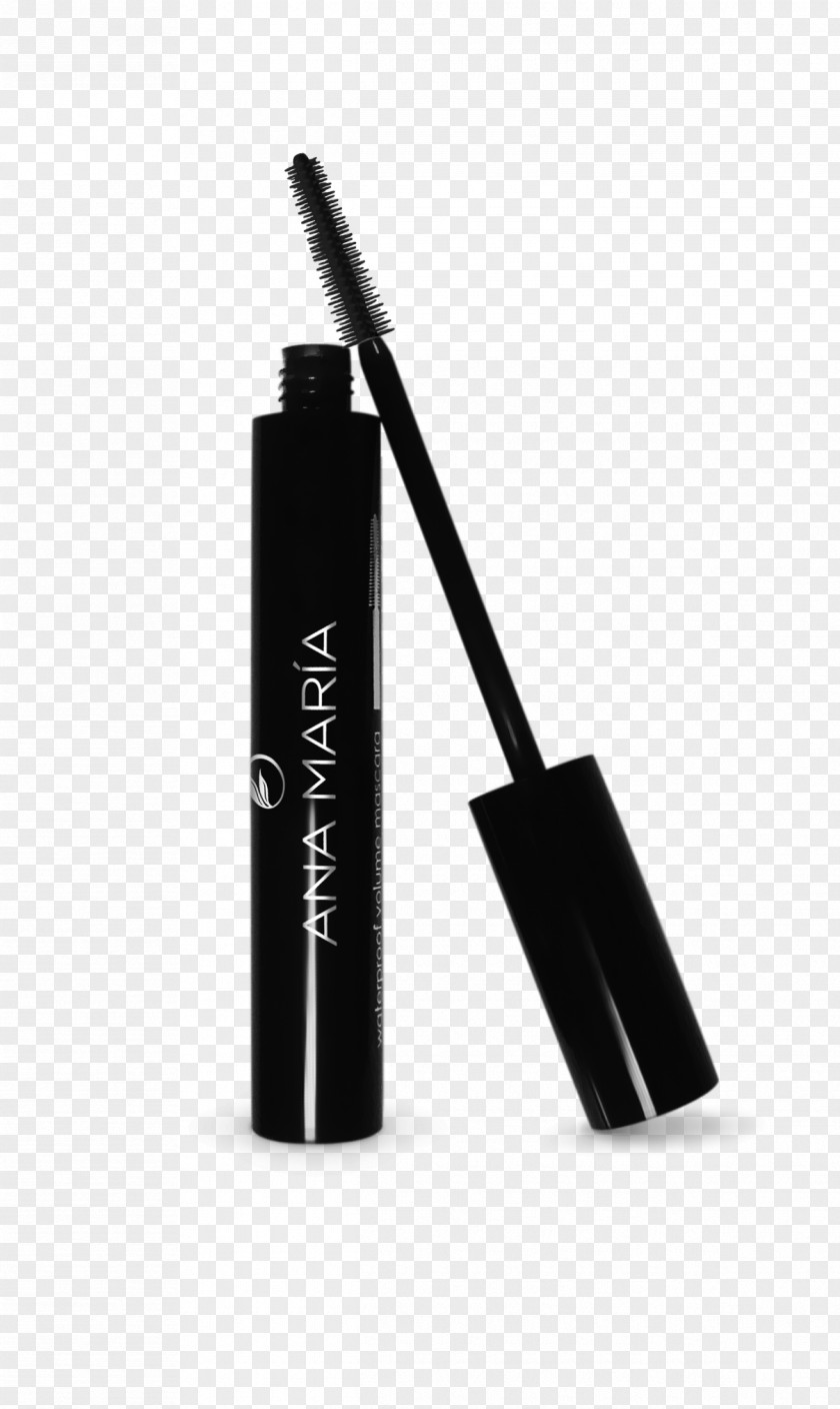 Eye Mascara Cosmetics Eyelash Make-up Beauty PNG