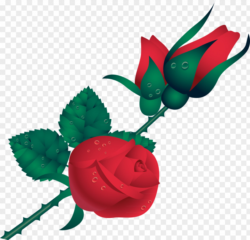 Red Rose Garden Roses Flower PNG