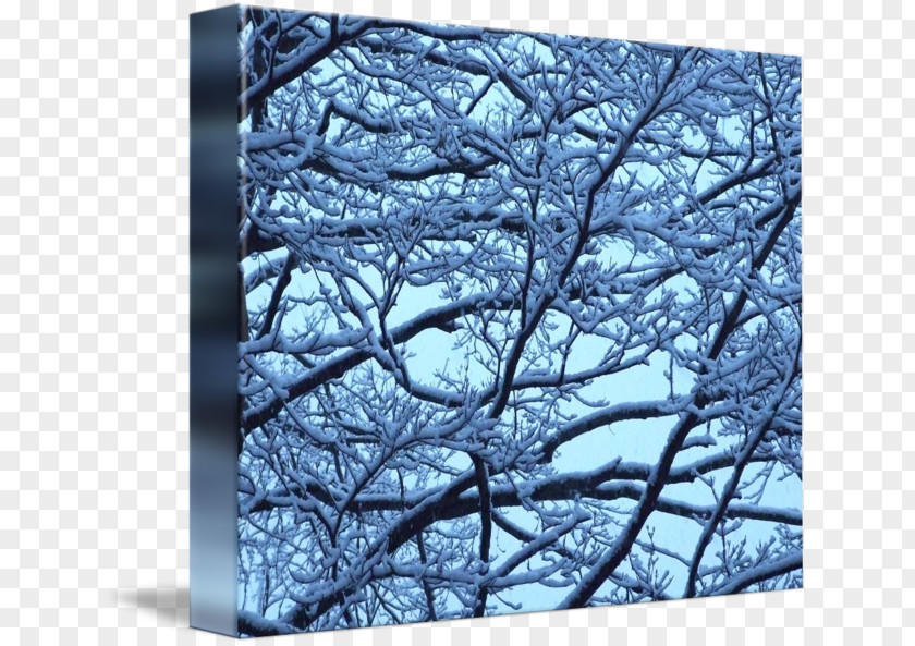 Snow Landscape Tree Twig Violet Winter Stock Photography PNG