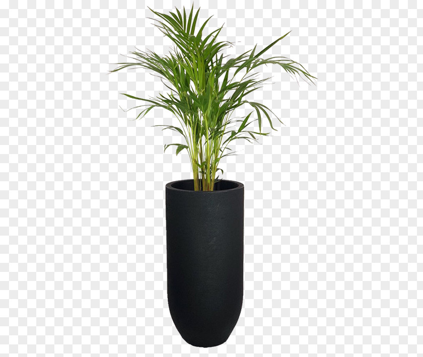 Vase Arecaceae Flowerpot Garden Areca Palm Houseplant PNG