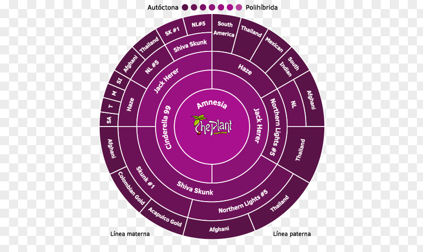 White Widow Cannabis Brand Product Design Diagram Purple PNG