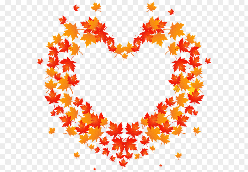 Blooming Effect Autumn Leaf Color Clip Art PNG