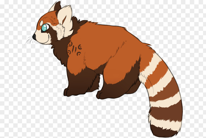 Cat Red Panda Giant Anatomy Bear PNG