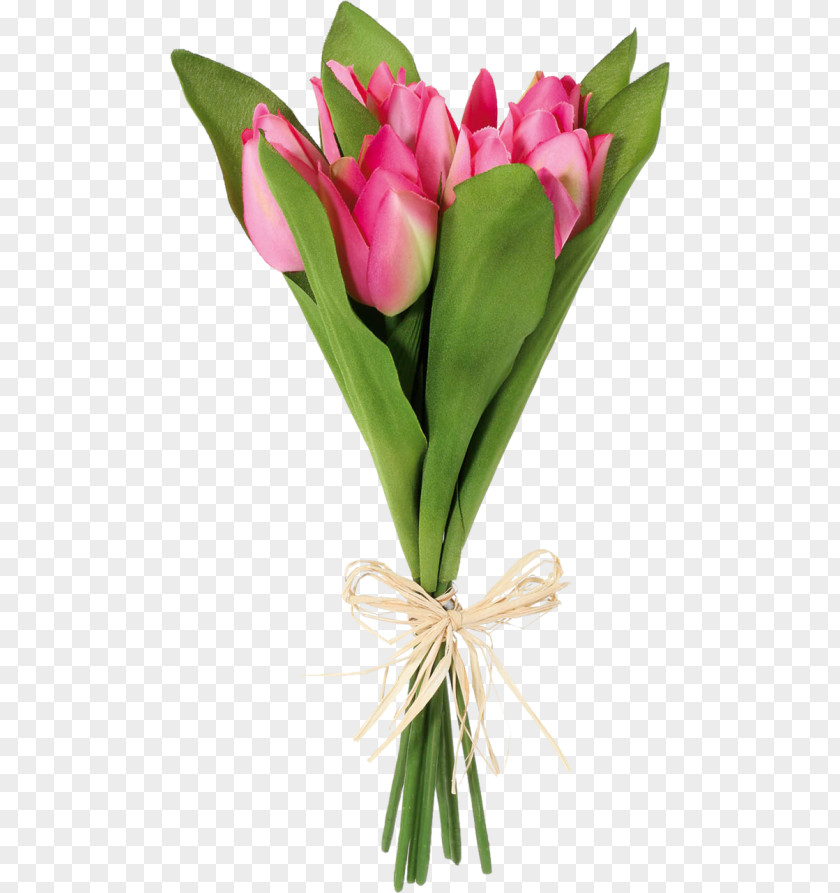 Tulip Flower Bouquet Clip Art PNG