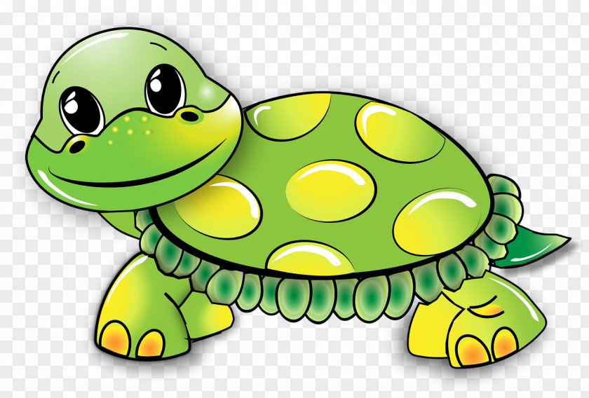 Turtle Reptile Animation Clip Art PNG