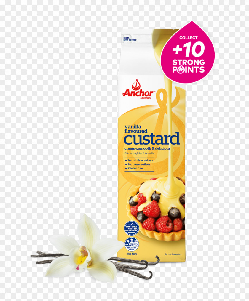 Vanilla Custard Food Flavor Cream PNG