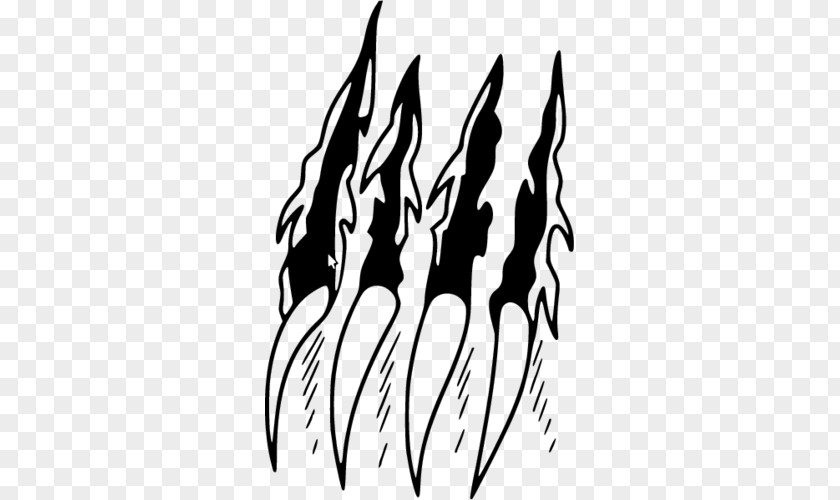 Design Tattoo Drawing Claw Sketch PNG