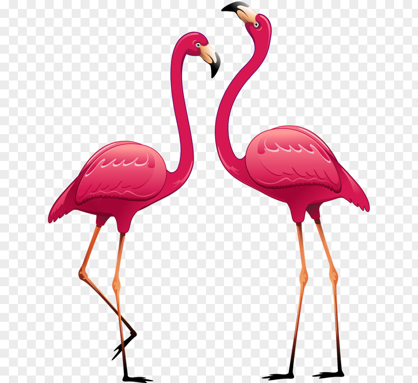Flamingos India Wall Decal Sticker Polyvinyl Chloride PNG