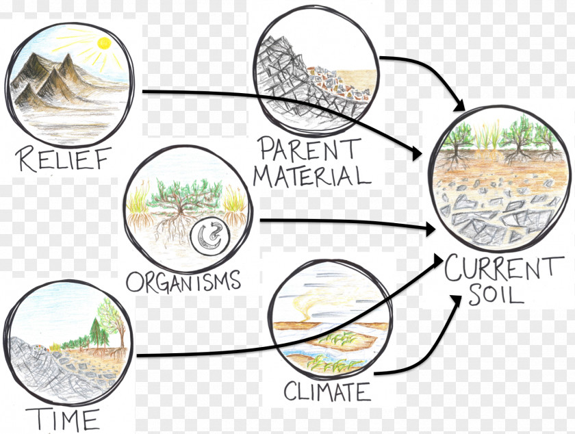 Forming Terrain Pedogenesis Parent Material Soil Natural Environment PNG