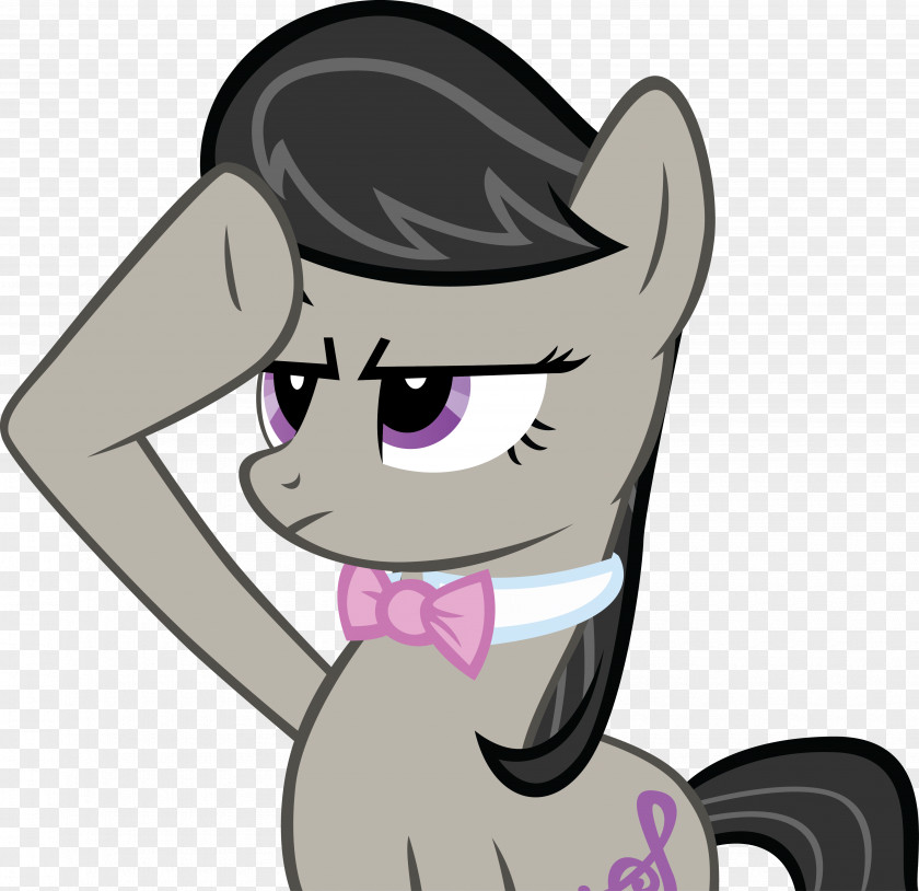 Octavia Derpy Hooves Rainbow Dash Pony Salute Animation PNG