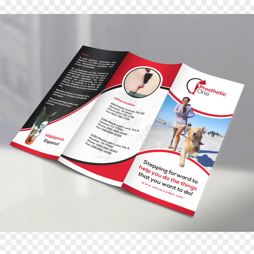 Trifold Design Brochure Designer Project PNG