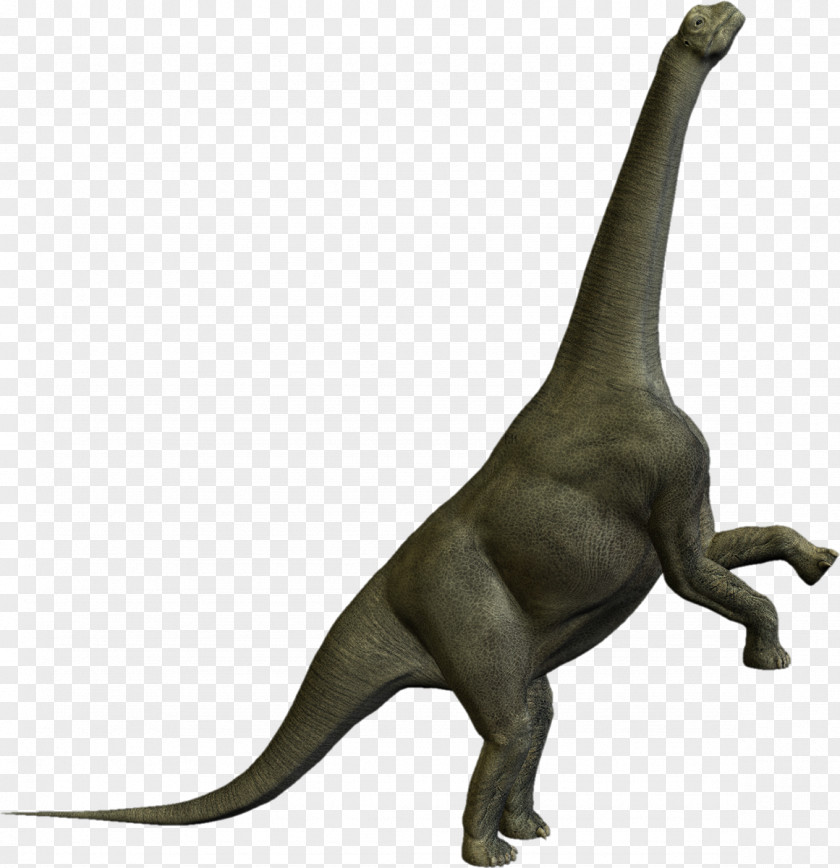 Dinosaur Camarasaurus Tyrannosaurus Prehistory Dinosaurios Herbivoros PNG