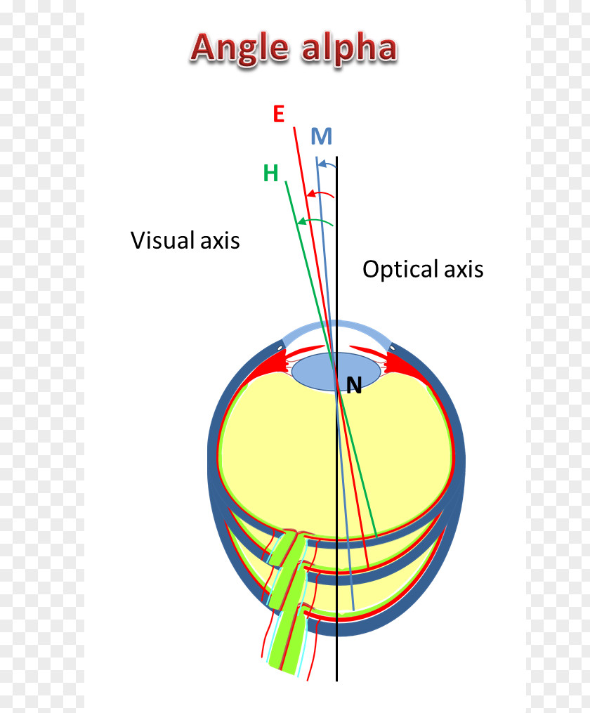 Eye Near-sightedness Far-sightedness Strabismus Angle PNG