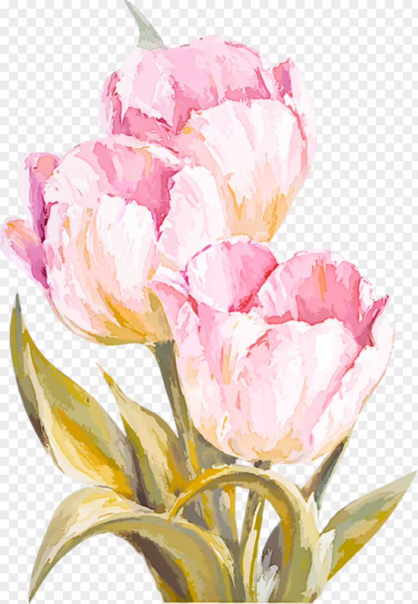 Flower Petal Cut Flowers Tulip Pink PNG