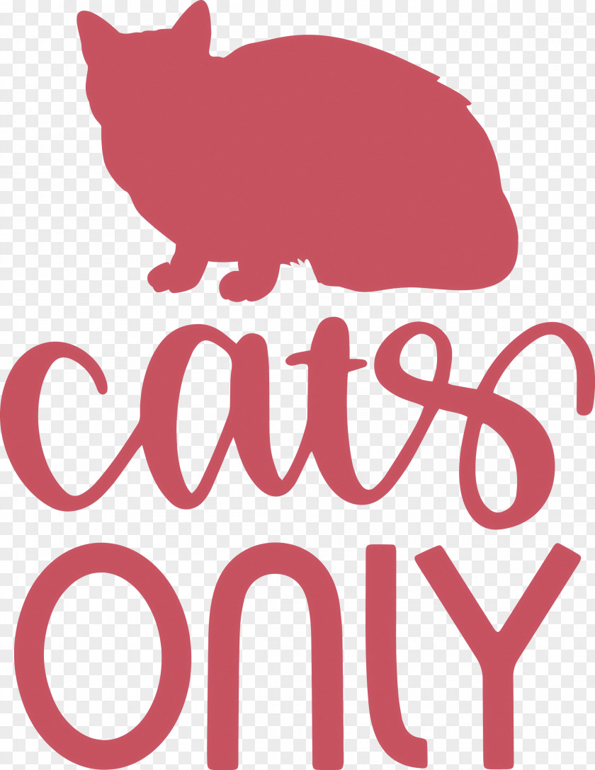 Cats Only Cat PNG