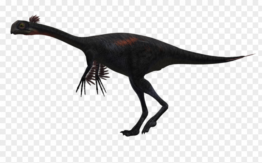Dinosaur Tyrannosaurus Spinosaurus Velociraptor Troodon PNG