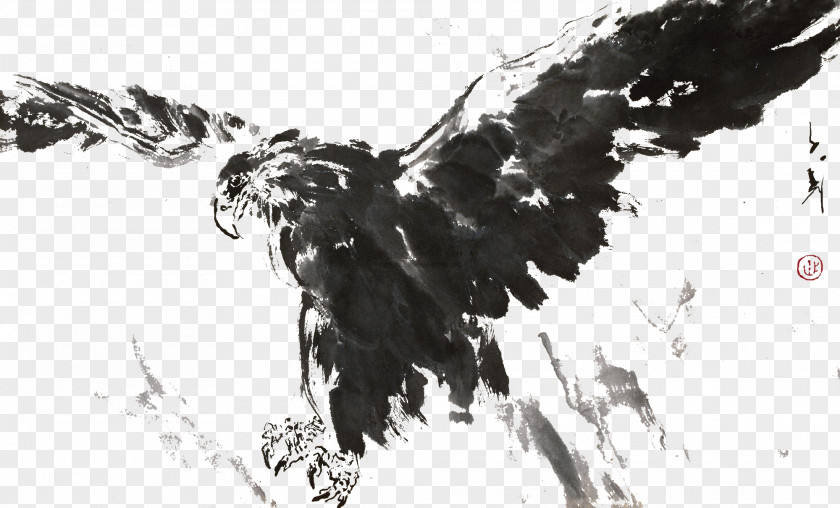 Eagle Do Not Pull Ink Material U6c34u58a8u753bu9e70 Painting PNG