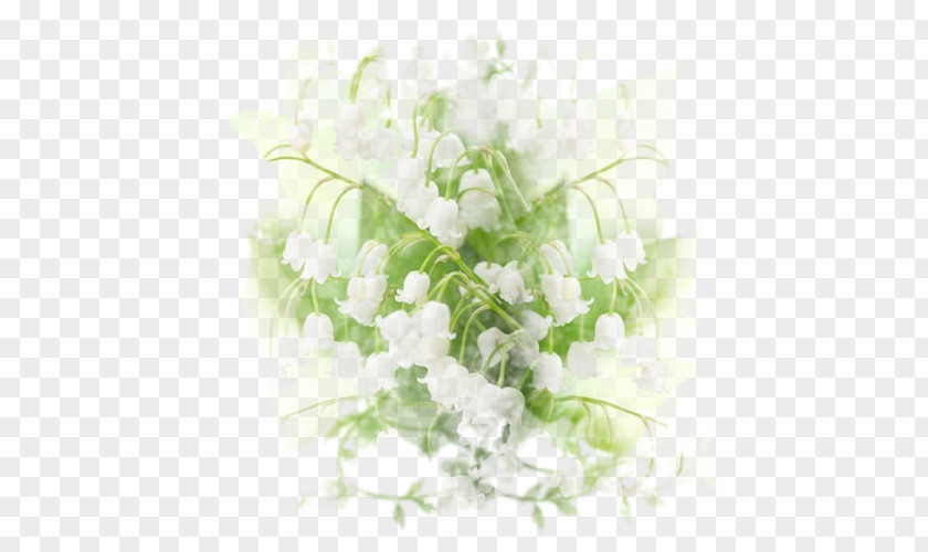 Flower Floral Design Cut Flowers Bouquet Hit PNG