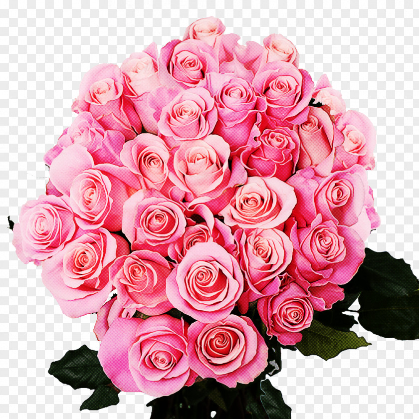 Garden Roses PNG