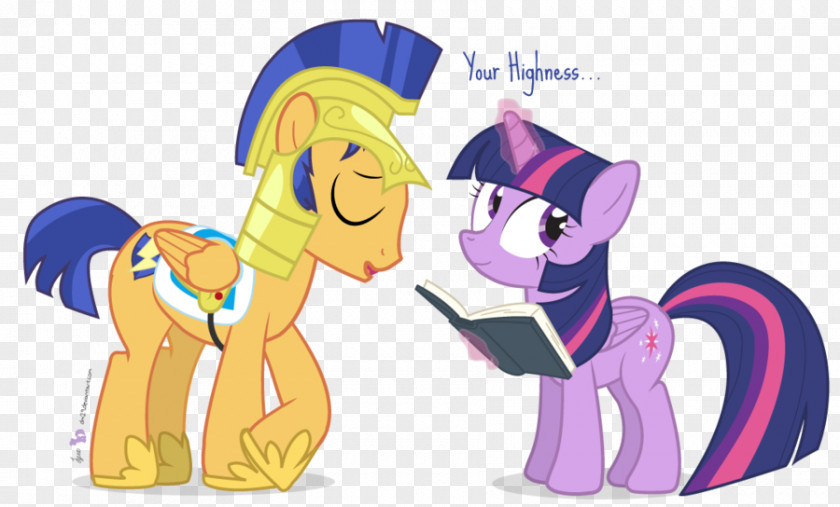 My Little Pony Friendship Is Magic Season 1 Twilight Sparkle Flash Sentry Pony: PNG