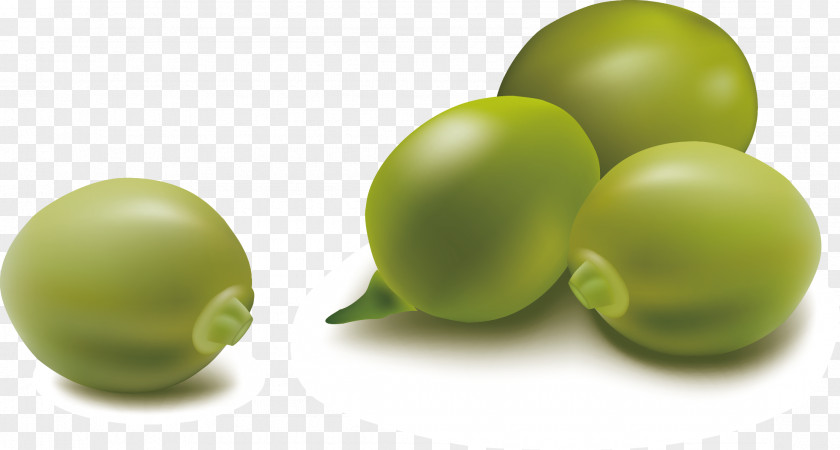 Peas Vector Pea Legume Vegetable PNG