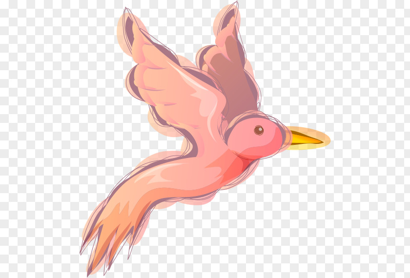 Pink Birds Bird Owl Clip Art PNG