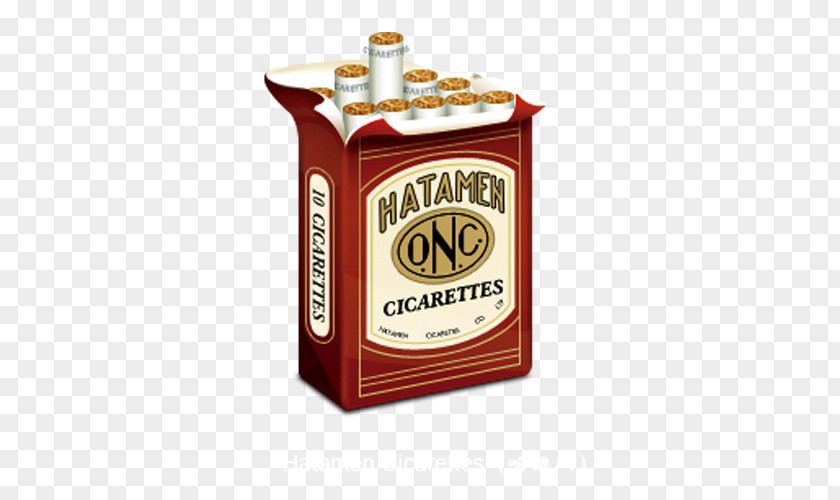Vintage Cigarette Case Pack PNG