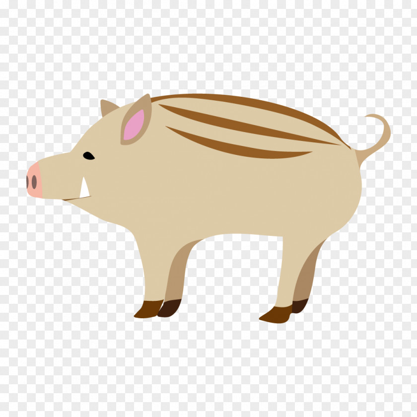 Wild Boar Illustration Peccary Pig PNG