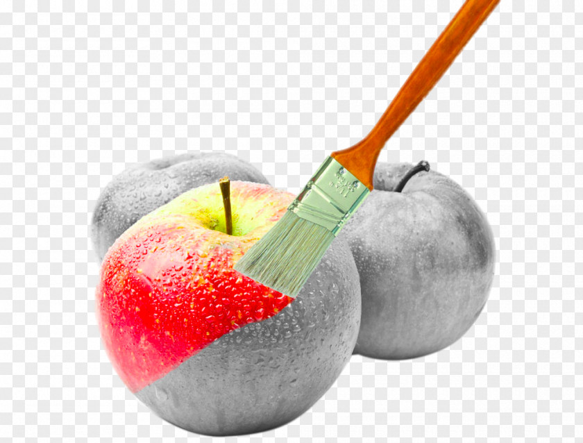 Apple Brush Art Creativity Creative Services Photography Advertising PNG