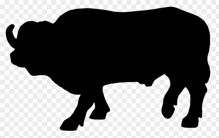 Beef Cattle Clip Art Image PNG