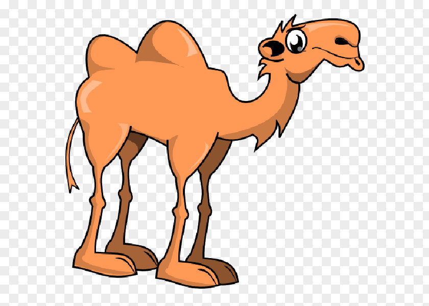 Cute Camel Bactrian Cartoon Clip Art PNG