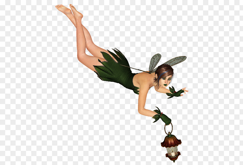 Fairy Elf Nymph PNG