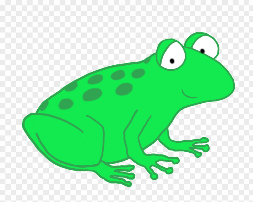 Green Background Dancing Rainbow Frog True Clip Art The Prince Image PNG