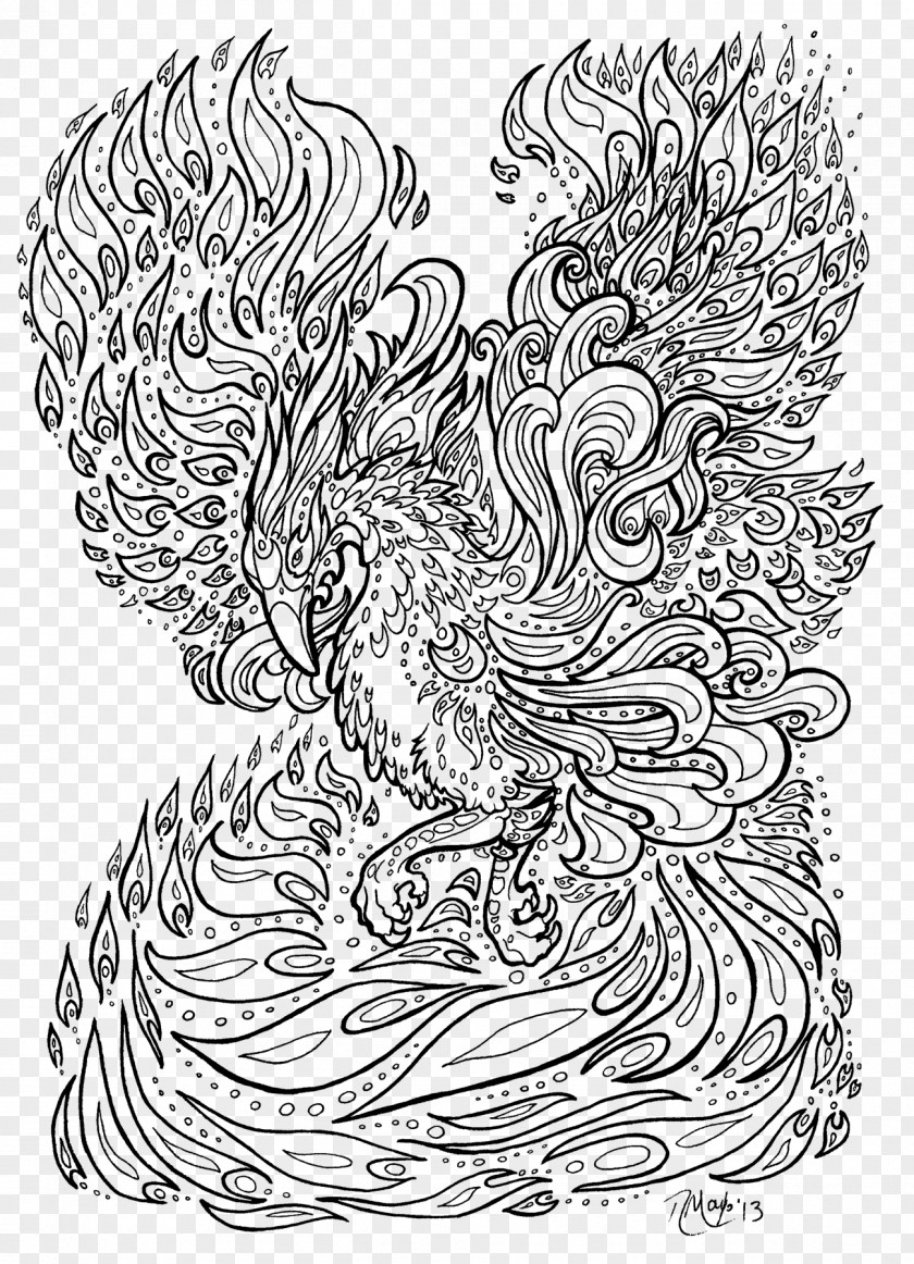 Phoenix Coloring Book Adult Drawing PNG