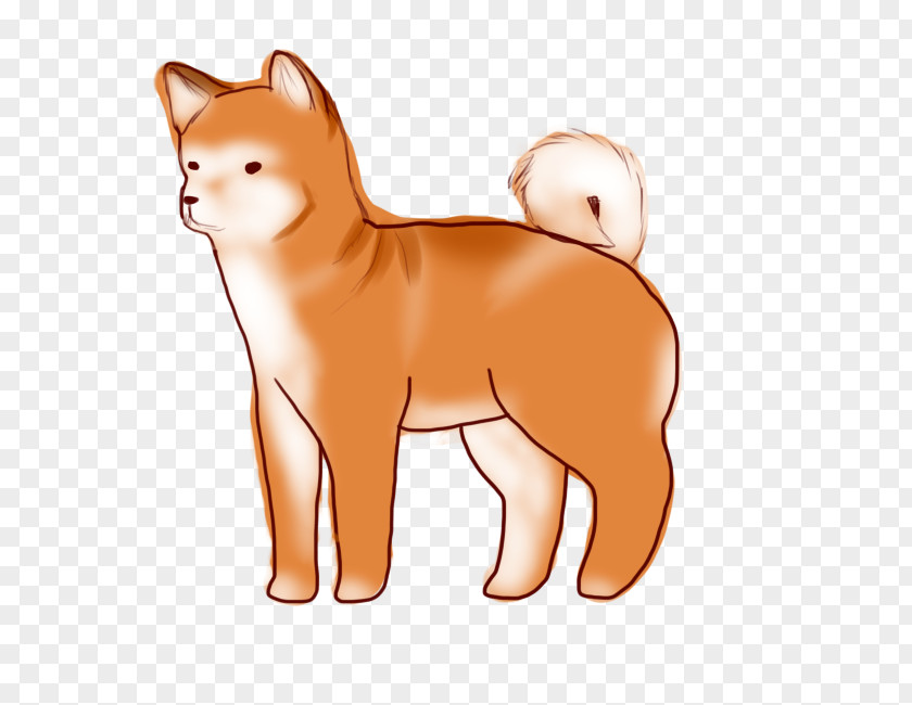 Puppy Finnish Spitz Dog Breed Shiba Inu Whiskers PNG