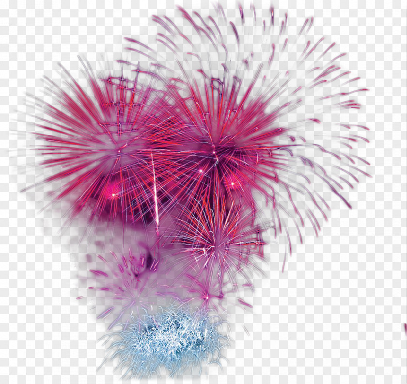 Red Dazzling Fireworks Purple PNG