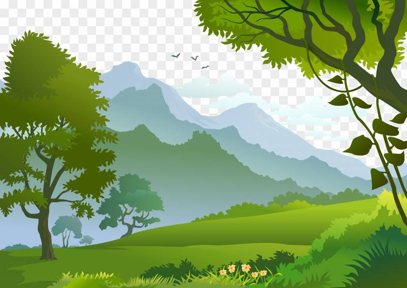 Vector Forest Landscape Photography Illustration PNG