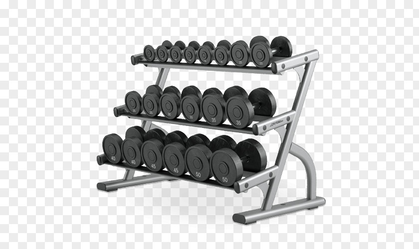 Dumbbell Weight Training Fitness Centre Exercise Equipment Strength PNG