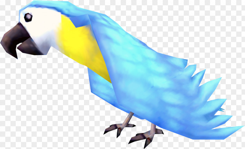 Parrot RuneScape Bird Macaw Parakeet PNG