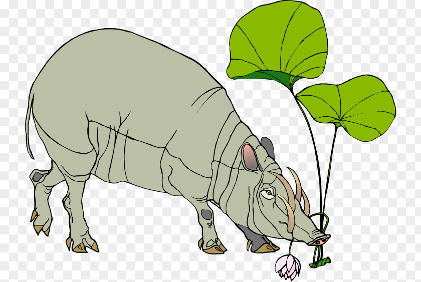 Pig Common Warthog Clip Art PNG