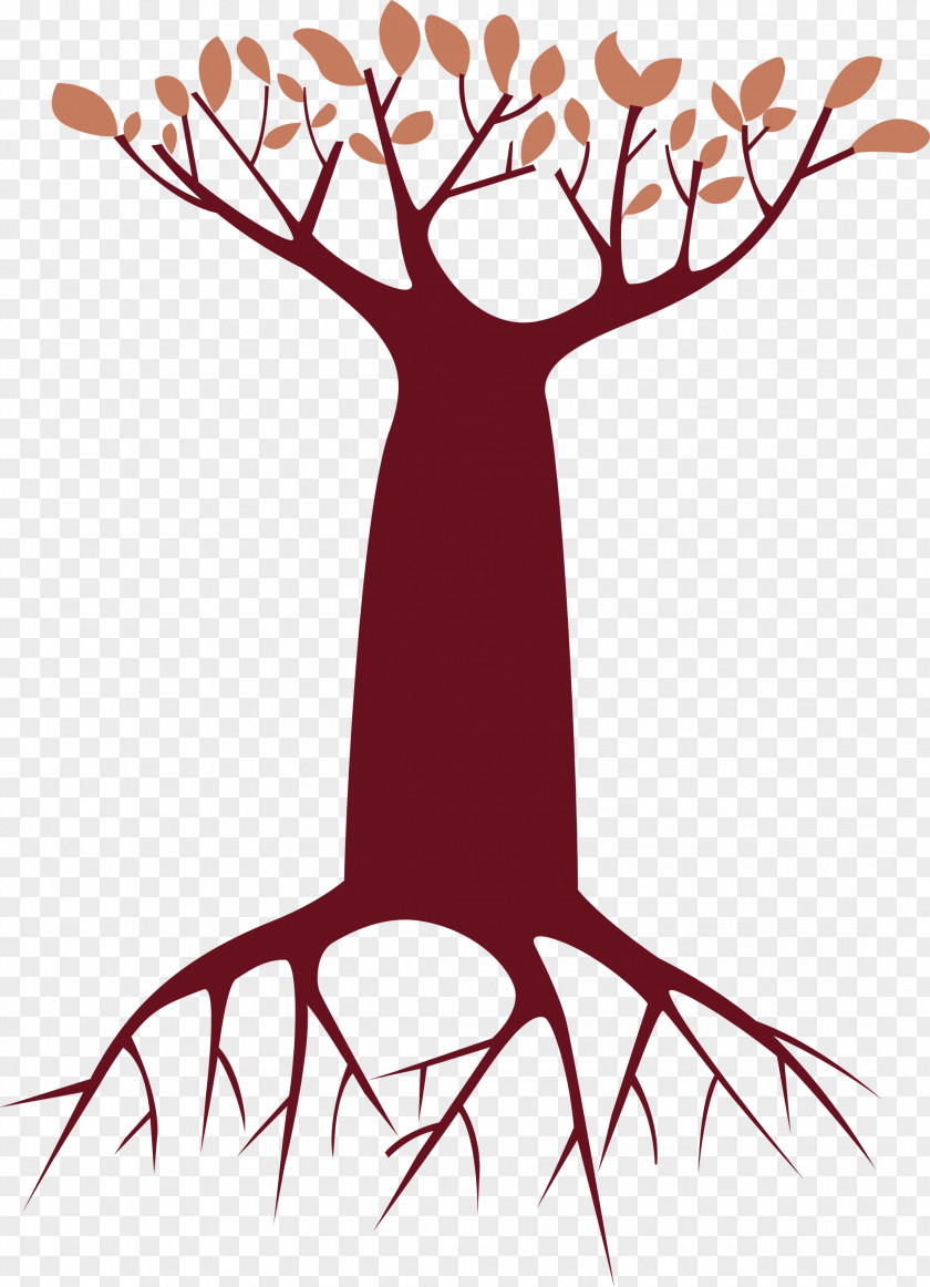 Root Branch Trunk Woody Plant Stem PNG