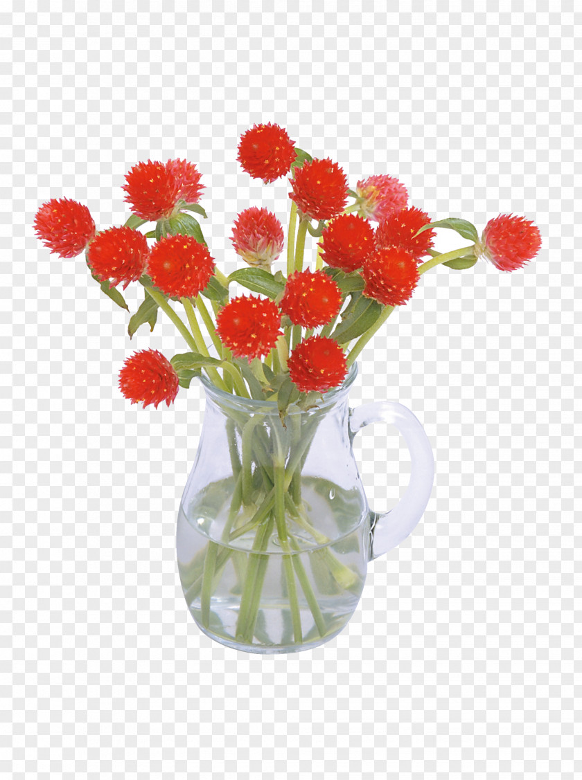 Vase Floral Design Flower PNG