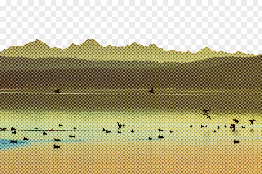 Water Resources Ecoregion Reservoir Birds Lough PNG